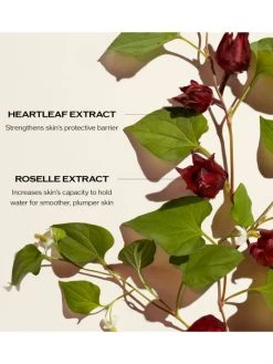 Shiseido Limited-Edition 150 Year Anniversary Ultimune Power Infusing Serum -Deals JW Anderson And Shiseido Store unnamed file 685